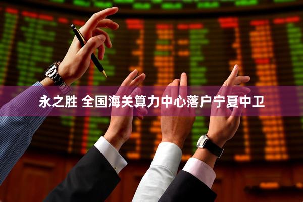 永之胜 全国海关算力中心落户宁夏中卫