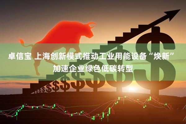 卓信宝 上海创新模式推动工业用能设备“焕新” 加速企业绿色低碳转型