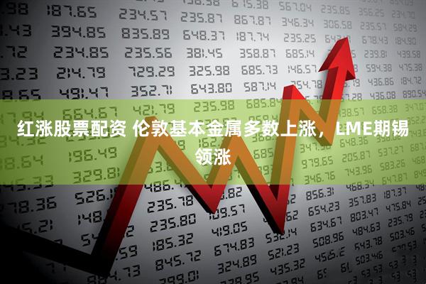红涨股票配资 伦敦基本金属多数上涨，LME期锡领涨