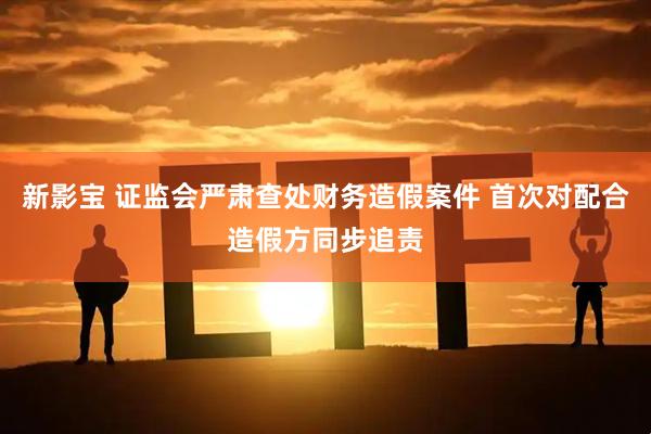 新影宝 证监会严肃查处财务造假案件 首次对配合造假方同步追责