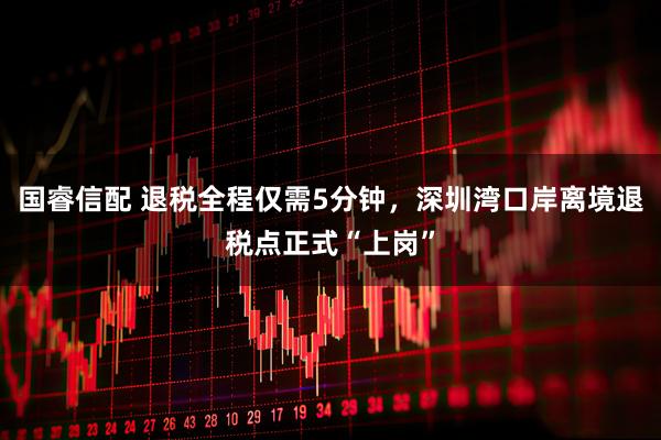 国睿信配 退税全程仅需5分钟，深圳湾口岸离境退税点正式“上岗”