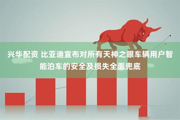 兴华配资 比亚迪宣布对所有天神之眼车辆用户智能泊车的安全及损失全面兜底