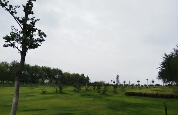 融可赢配 把孩子从逼着学到主动学，一个很重要的做法：学会哄，孩子更自律