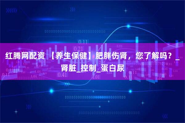 红腾网配资 【养生保健】肥胖伤肾，您了解吗？_肾脏_控制_蛋白尿