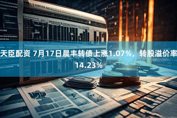 天臣配资 7月17日晨丰转债上涨1.07%，转股溢价率14.23%